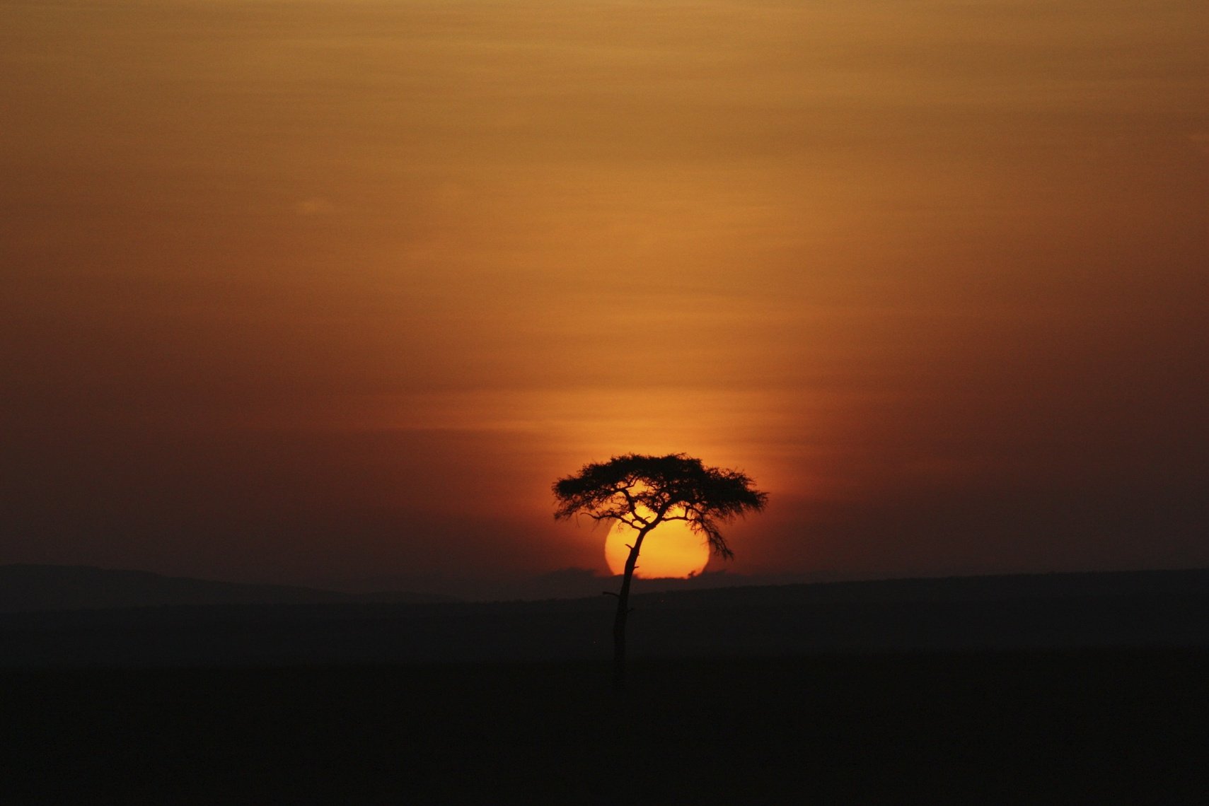 Safari Desert Sunset